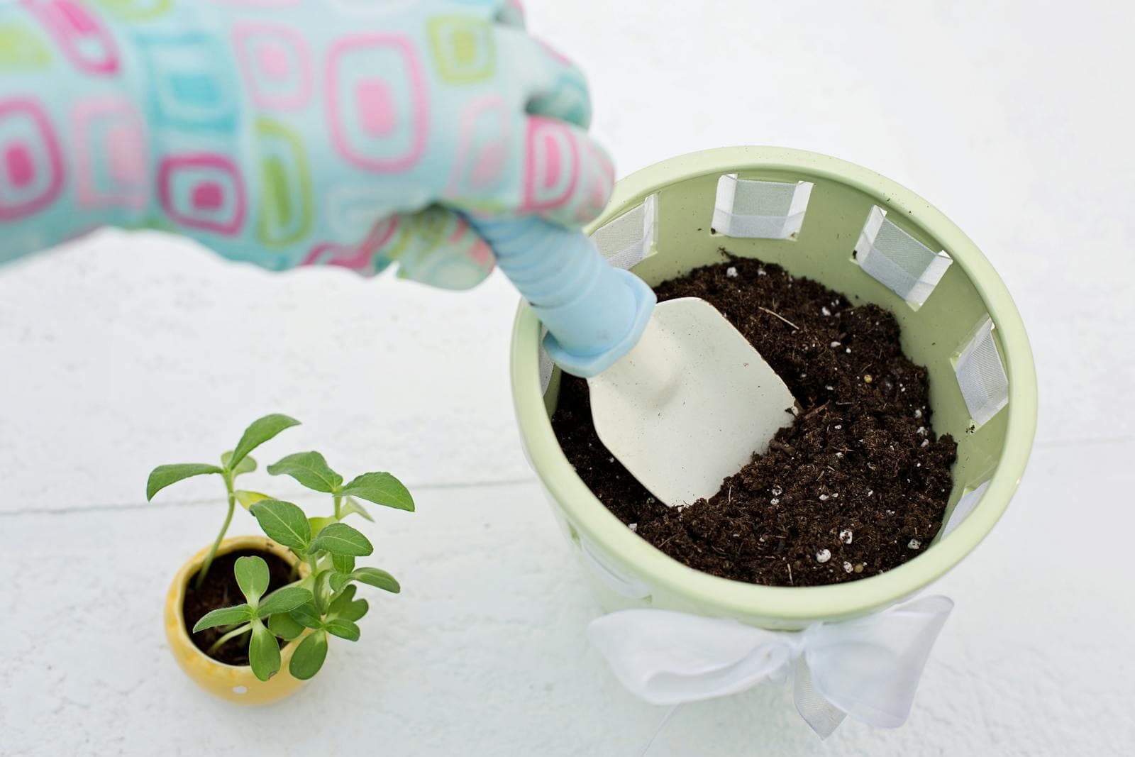 Seven Beginner Flower Garden Mistakes That Are Easy to Avoid