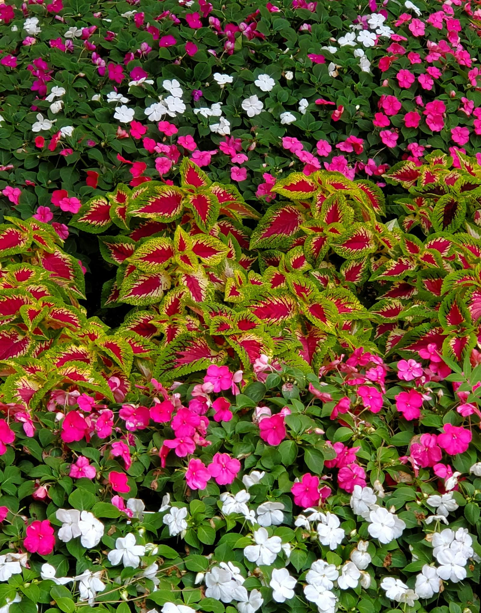 A First Shade Flower Corner for Beginners