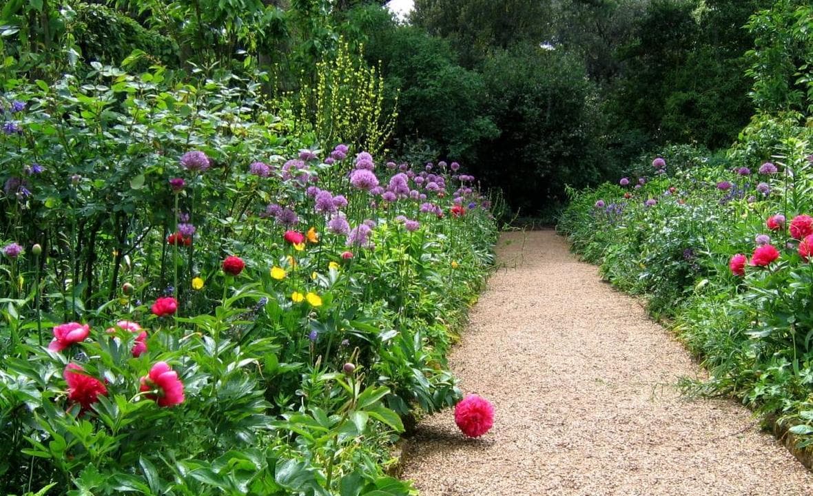 A garden path edged by colorful flowering beds