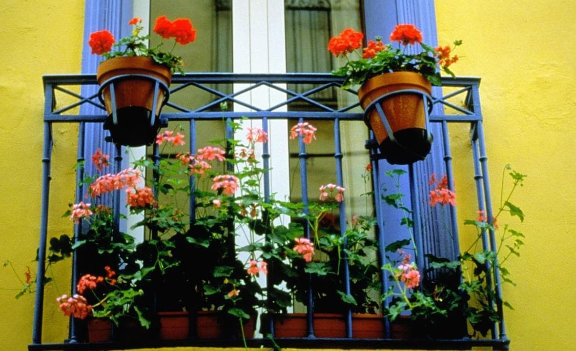 Flower planters arranged along a balcony railing