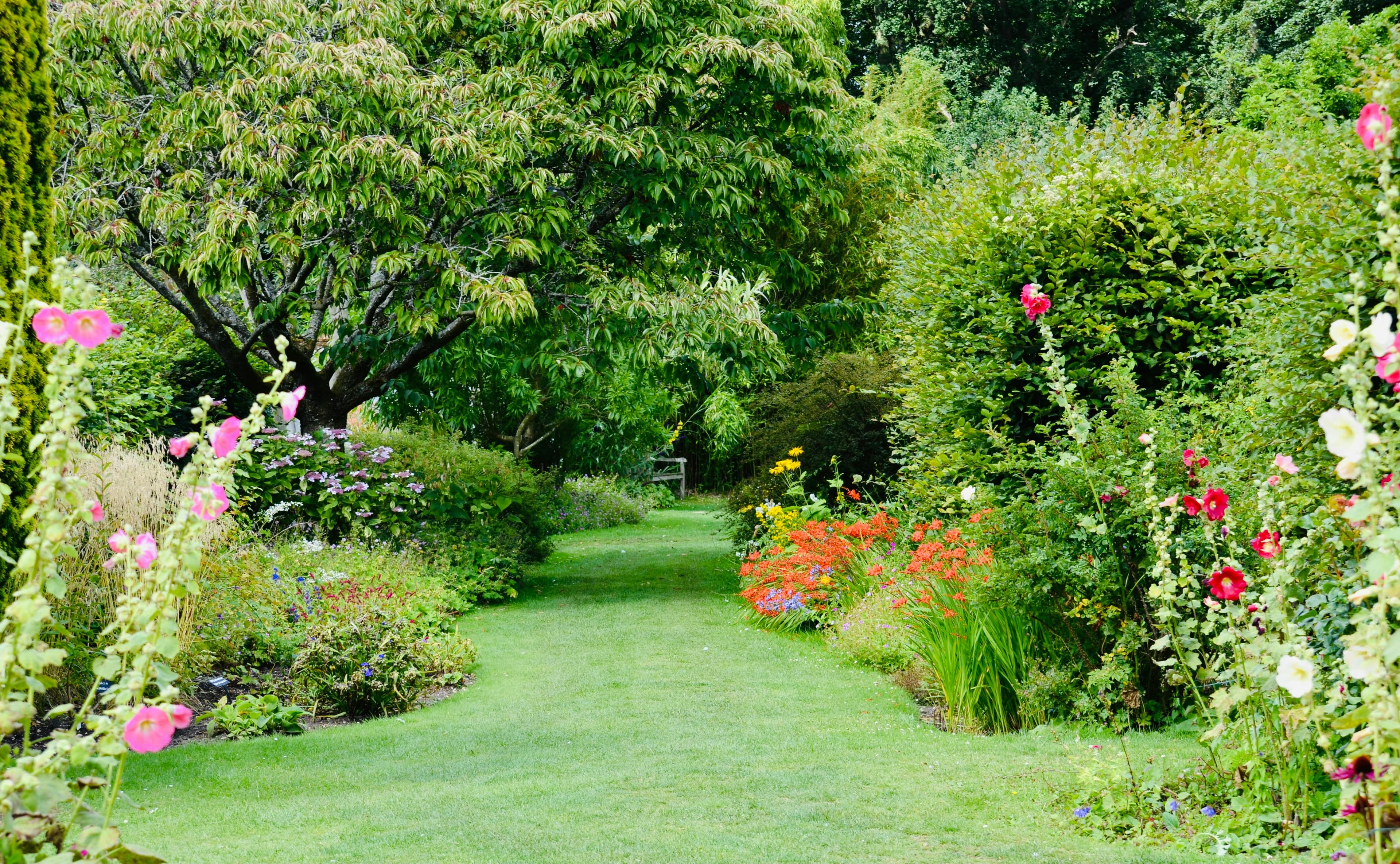 A garden lawn framed by colorful flower borders and clear planting edges