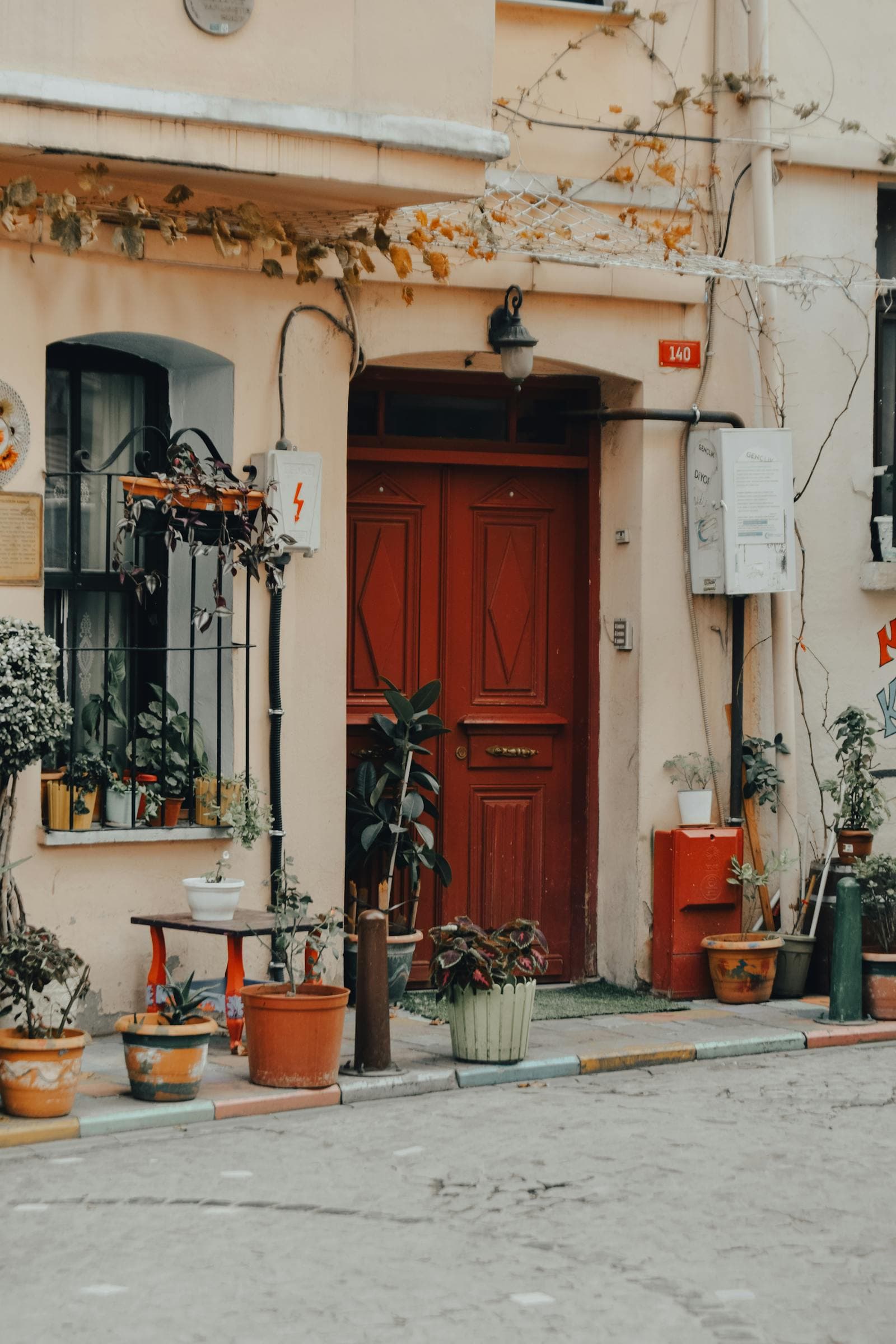 Plan the Patio Plants Before Buying More Furniture