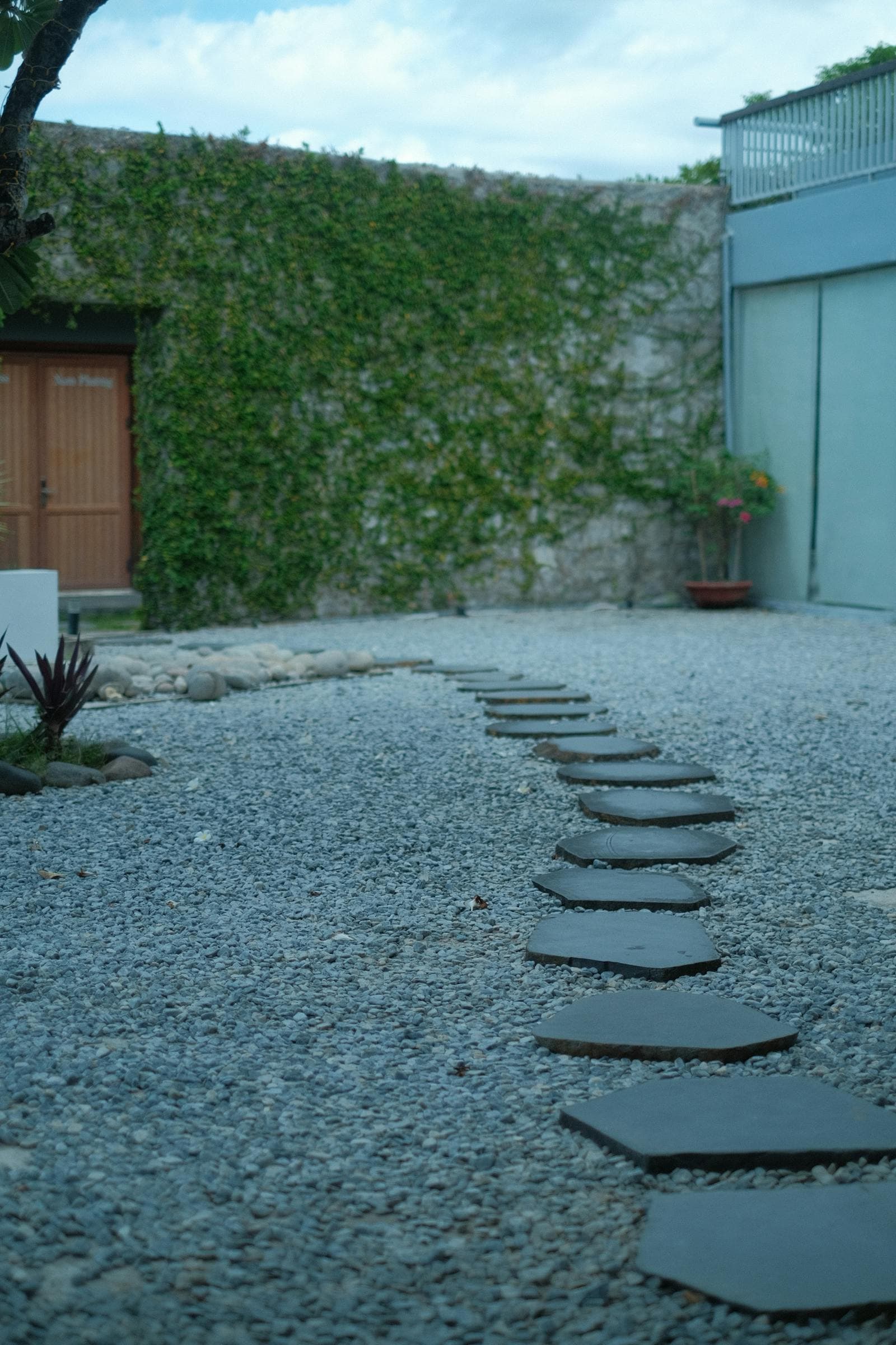 Soft Plants to Grow Between Stepping Stones